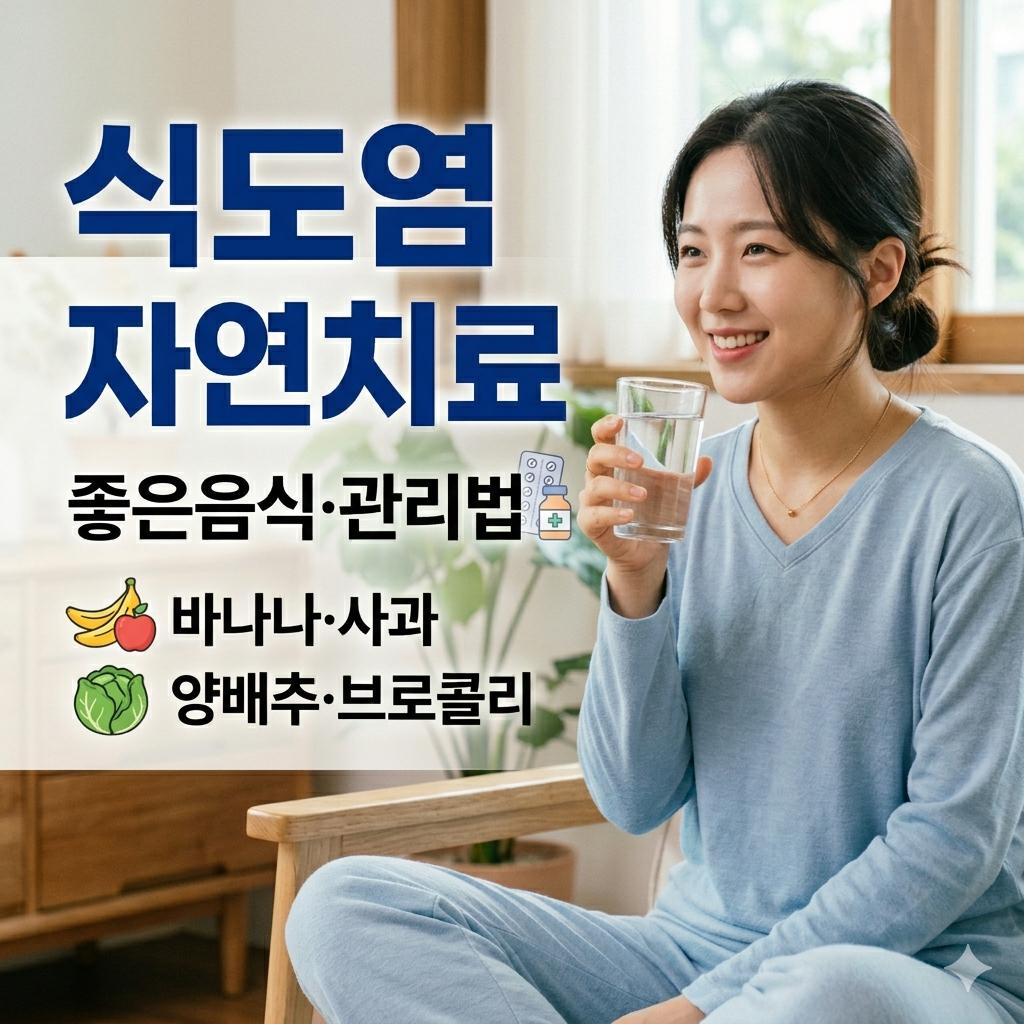 역류성 식도염 자연치료방법과 좋은음식 총정리 (약·치료제까지)
