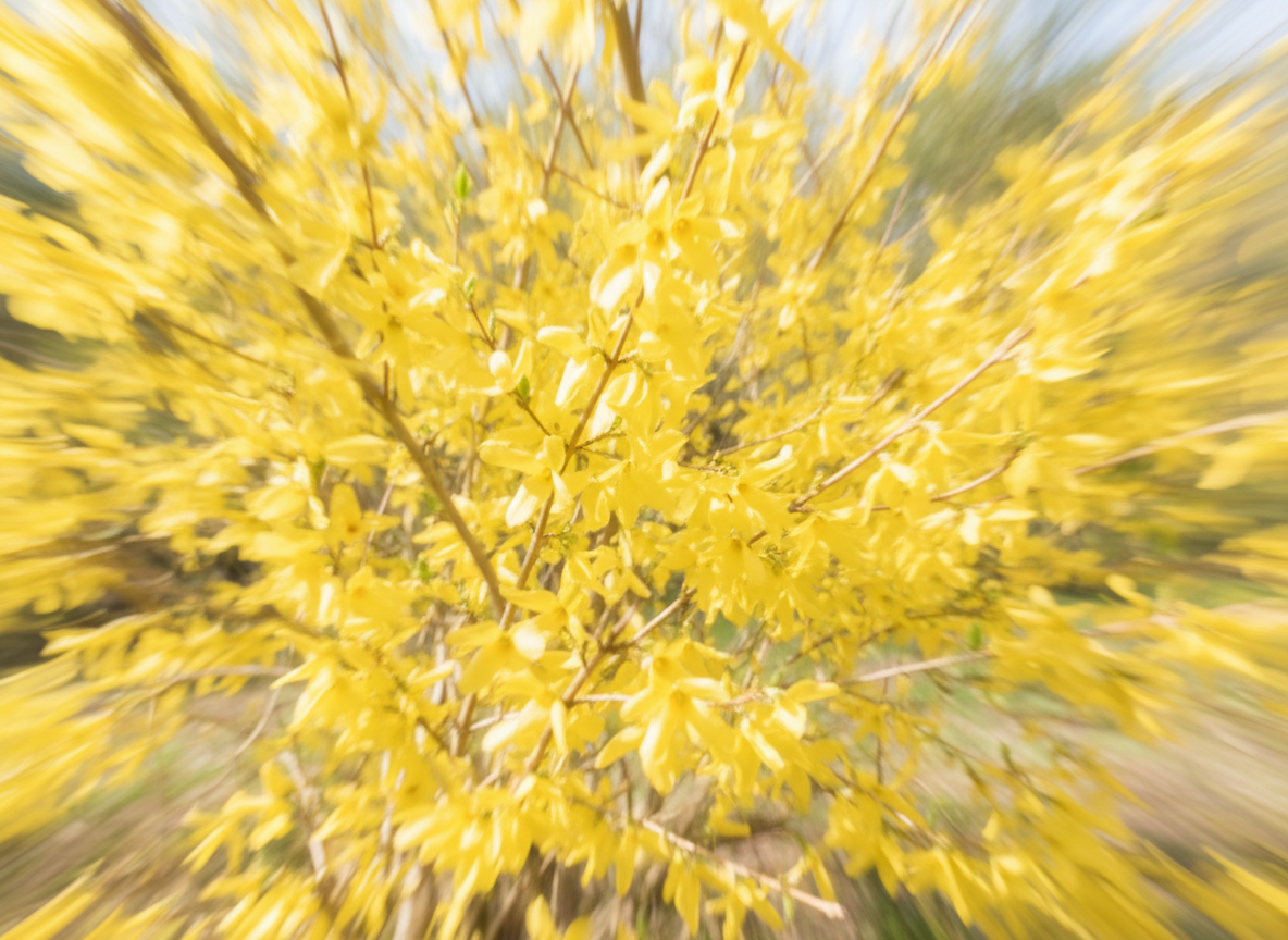 태권도 띠 순서 흰띠부터 검은띠까지 완벽 이해 가이드