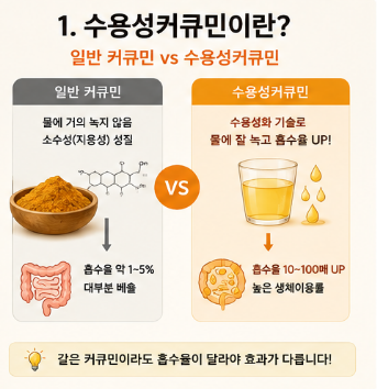 수용성커큐민-효능-부작용-복용시간-복용법-영양제