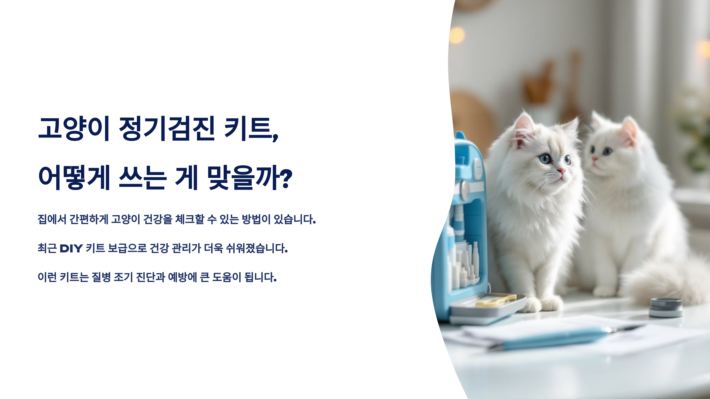 고양이 정기검진 키트, 어떻게 쓰는 게 맞을까?