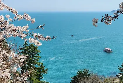 제19회 거제섬꽃축제 2025 – 국화향기 속으로 떠나는 섬의 가을