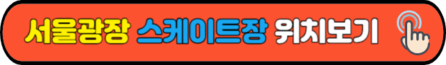 서울광장&nbsp;스케이트장&nbsp;위치보기