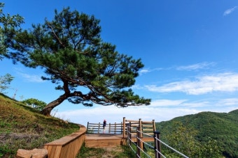 혼자하는 다이어트가 어려운 이유, 객실과 운동 시설, 힐링 다이어트