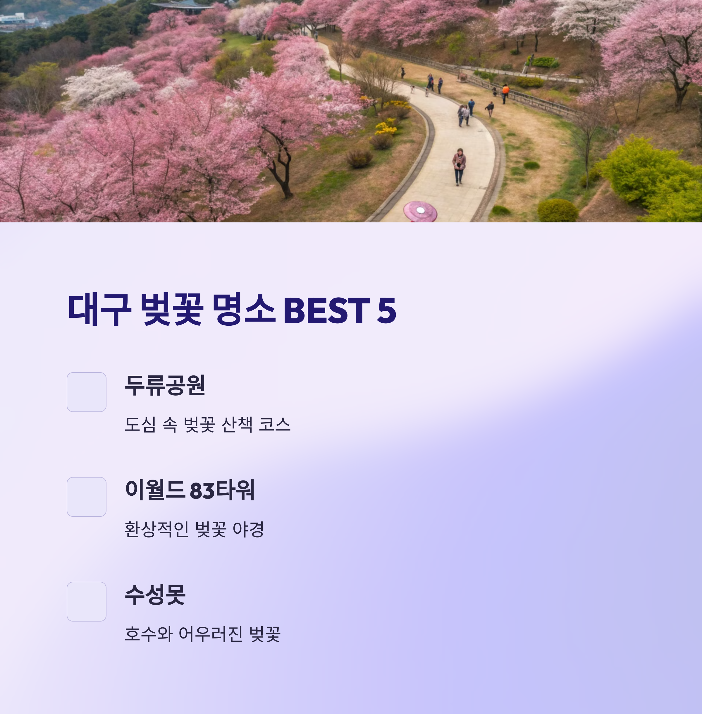 대구 벚꽃 명소 BEST 5