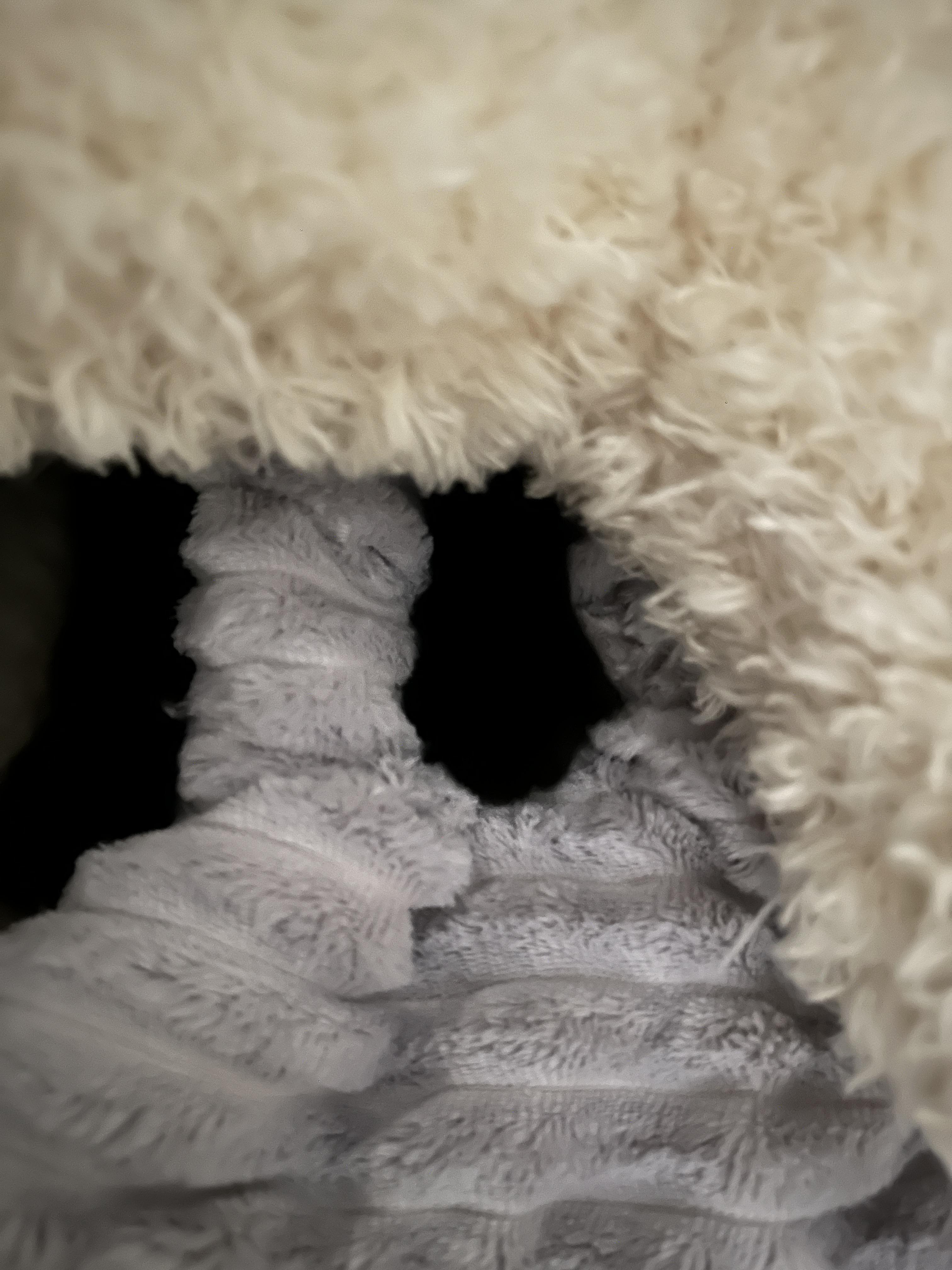 꼼지락꼼지락_꾹꾹이중인_올블랙고양이_건이의_솜방맹이