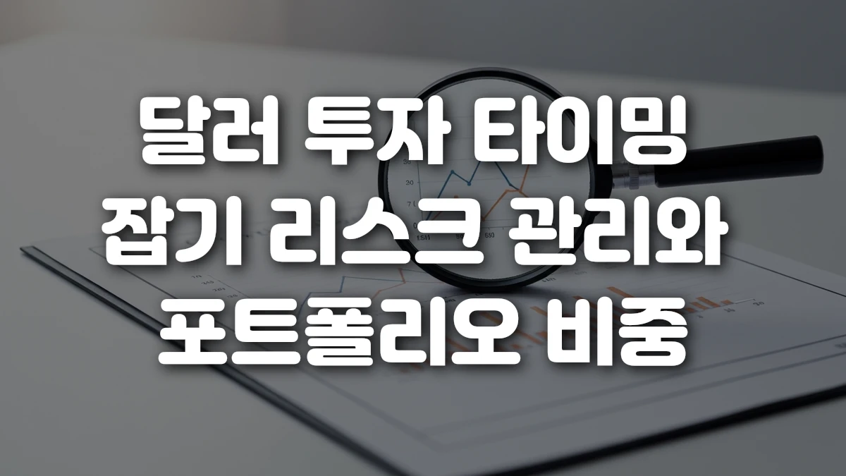 달러 투자 타이밍 잡기 리스크 관리와 포트폴리오 비중