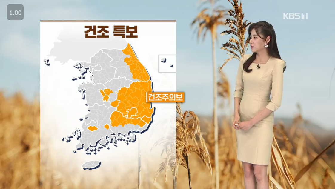 오늘날씨