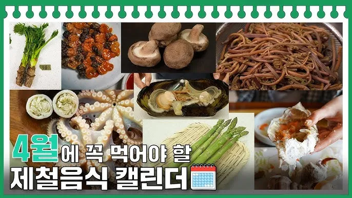 4월 제철음식 제철 생선 과일 채소 모음_3