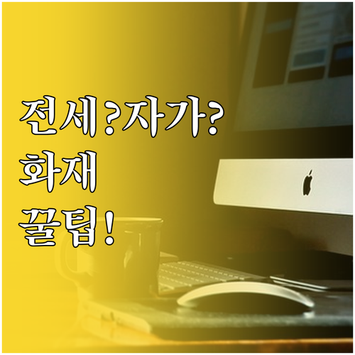 전세와 자가 주택 화재보험 가입 전략..