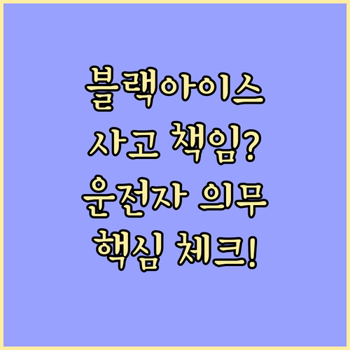 블랙아이스 사고 운전자의 안전 운전 ..
