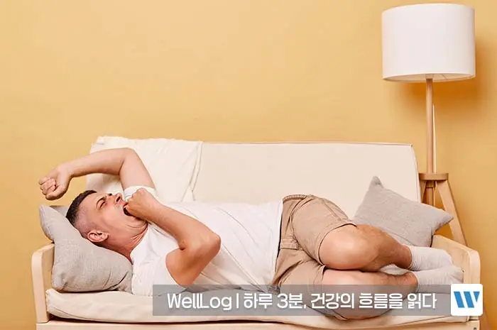 리포좀 비타민C 효능