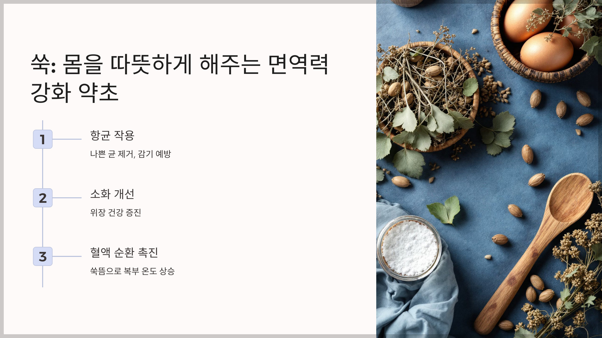 면역력 높이는 약초