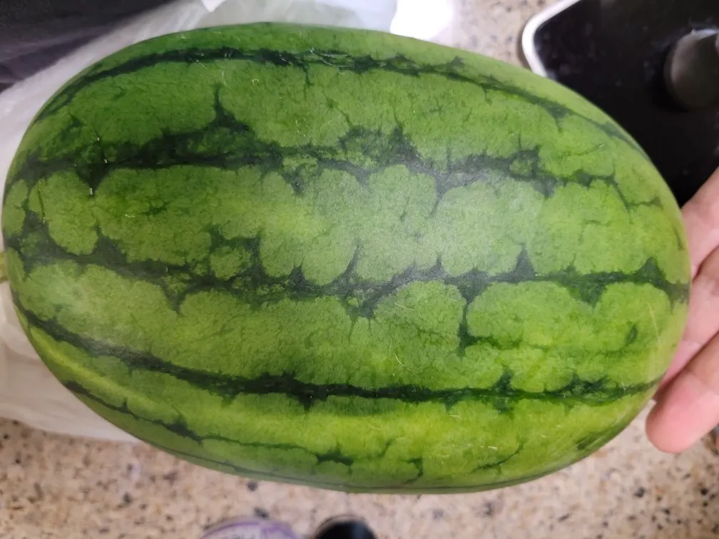 복수박