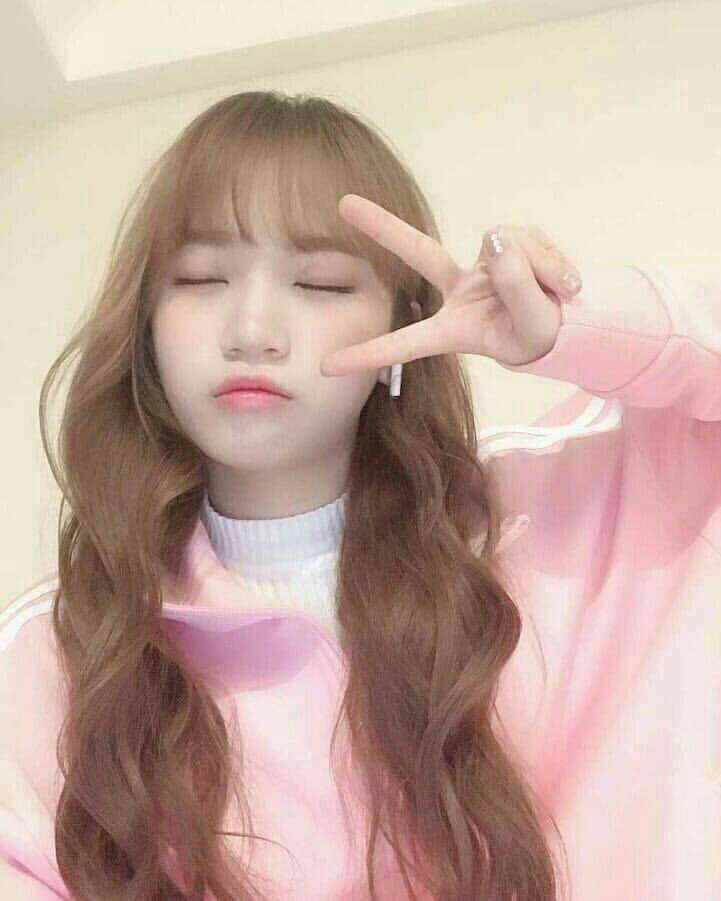 김채원 사진 모음
