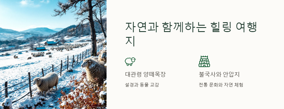 국내여행