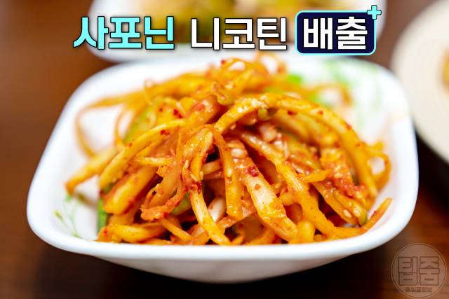 니코틴 배출 음식 도라지 니코틴배출기간