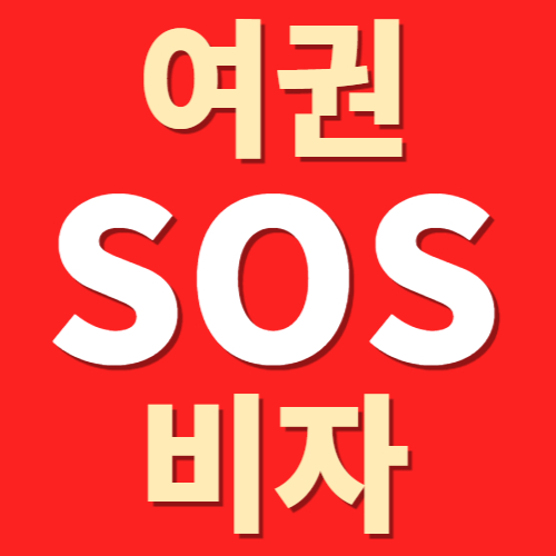 여권 비자 분실시 대처방법