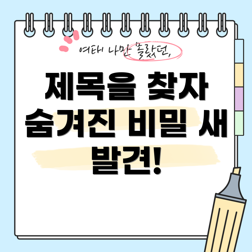 포커스 키워드를 찾을 수 없음