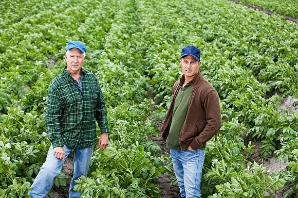 국민연금 지원제도 7가지