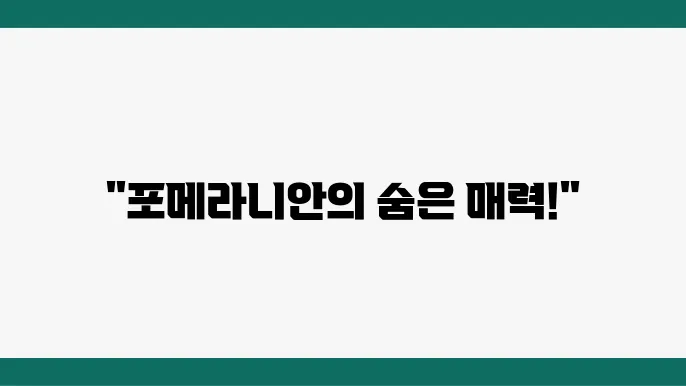 포메라니안의 다양한 특징