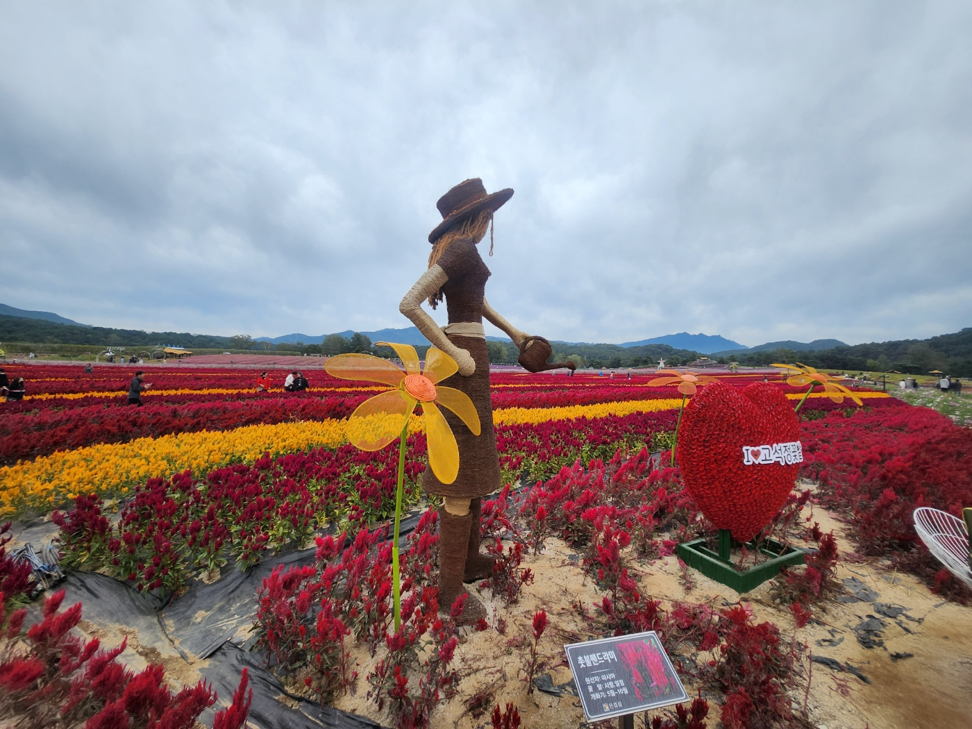 고석정 꽃밭