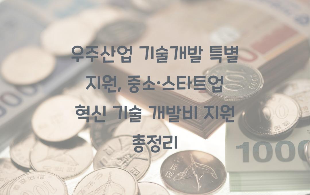 우주산업 기술개발 특별 지원, 중소·스타트업 혁신 기술 개발비 지원