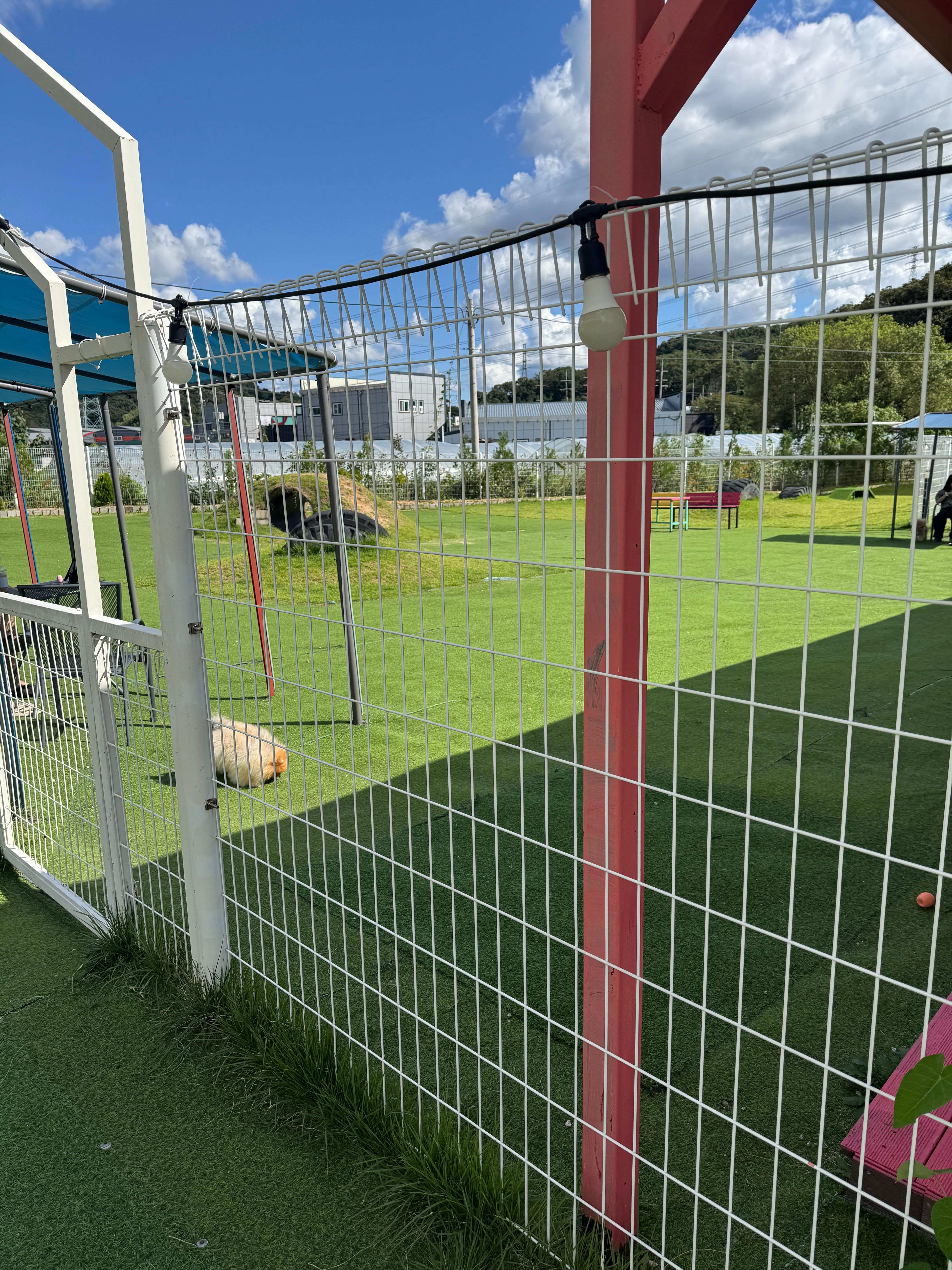 풀멍파크 내부 반려견 운동장 사진