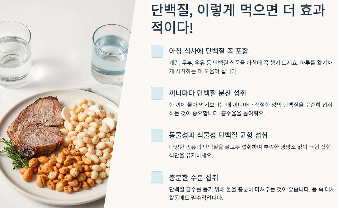 단백질, 이렇게 먹으면 더 효과적이다!