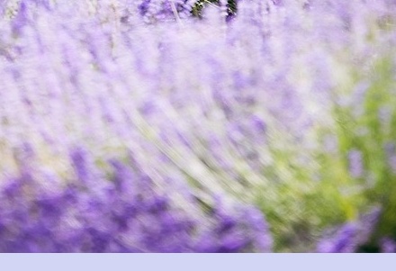 6월 국내 여행지 추천