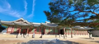 창덕궁 봄 꽃 개화 시기 근처 맛집 10선_11