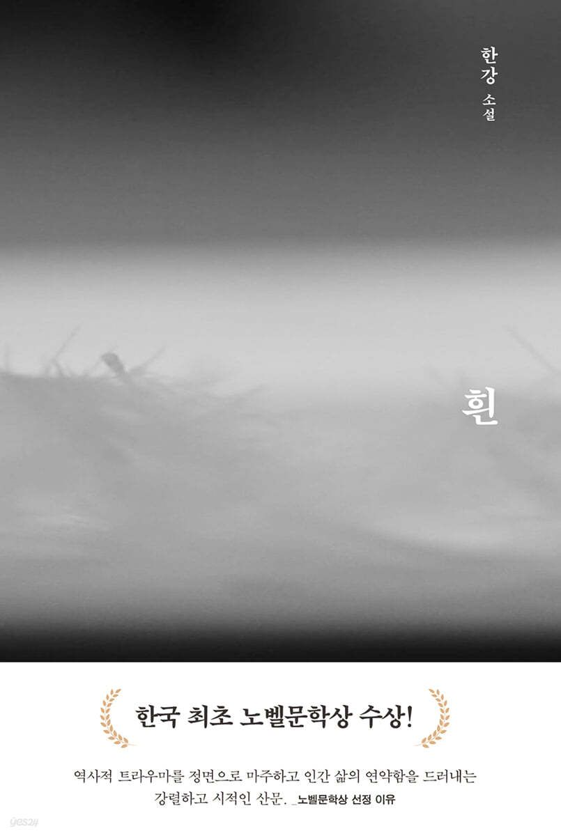 흰 표지 이미지