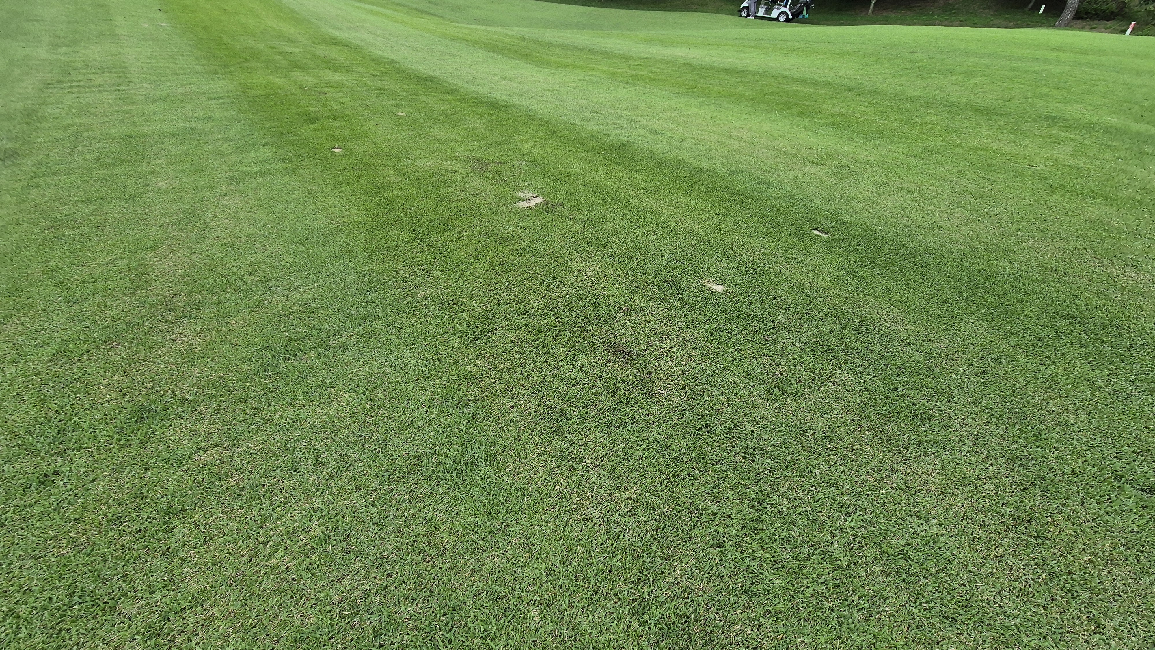 뉴스프링빌cc 라운드 후기