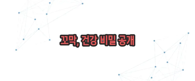 꼬막 효능 이보다 자세히 설명할순없다