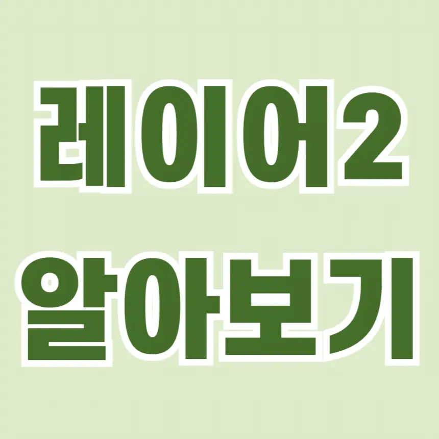레이어2 개념, 원리, 사례