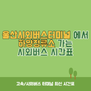 울산시외버스터미널에서 하양정류소 가는 시외버스 시간표 최신정보