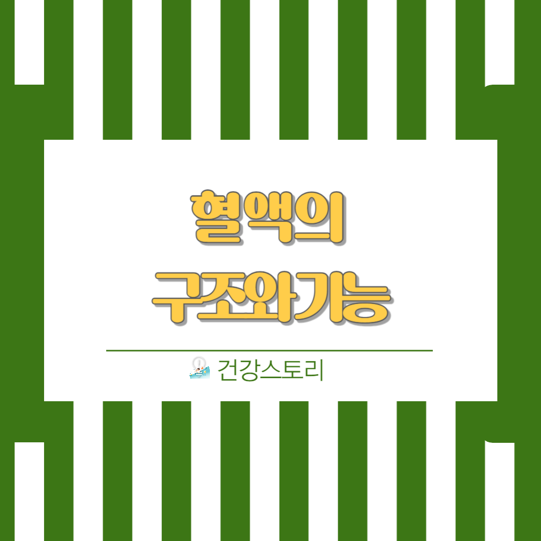 혈액의 구조와 기능