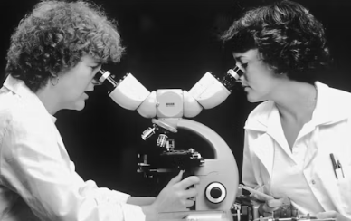 암보험 비교사이트 가격 추천상품