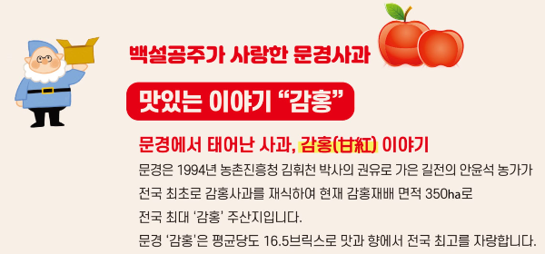 문경사과축제 감홍사과 2025년 일정 총정리