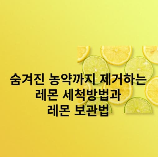 레몬-세척방법-레몬-보관법