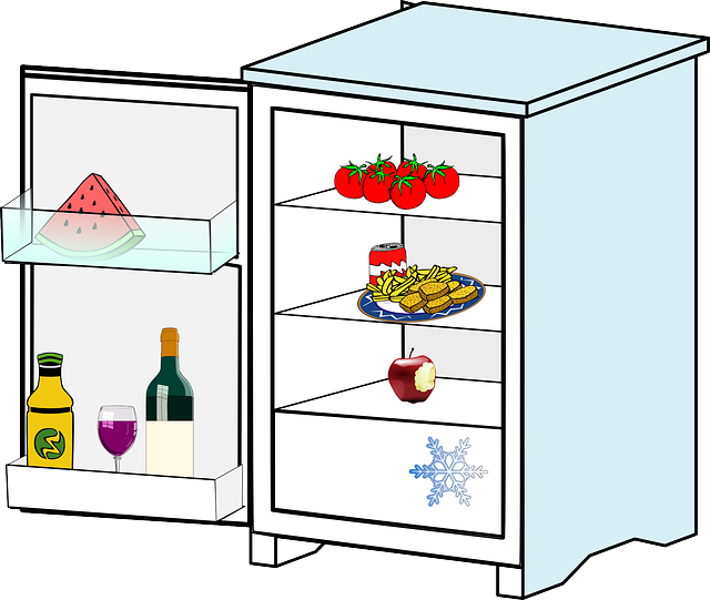 μ¨λ리λμ§νΈμνκΆ