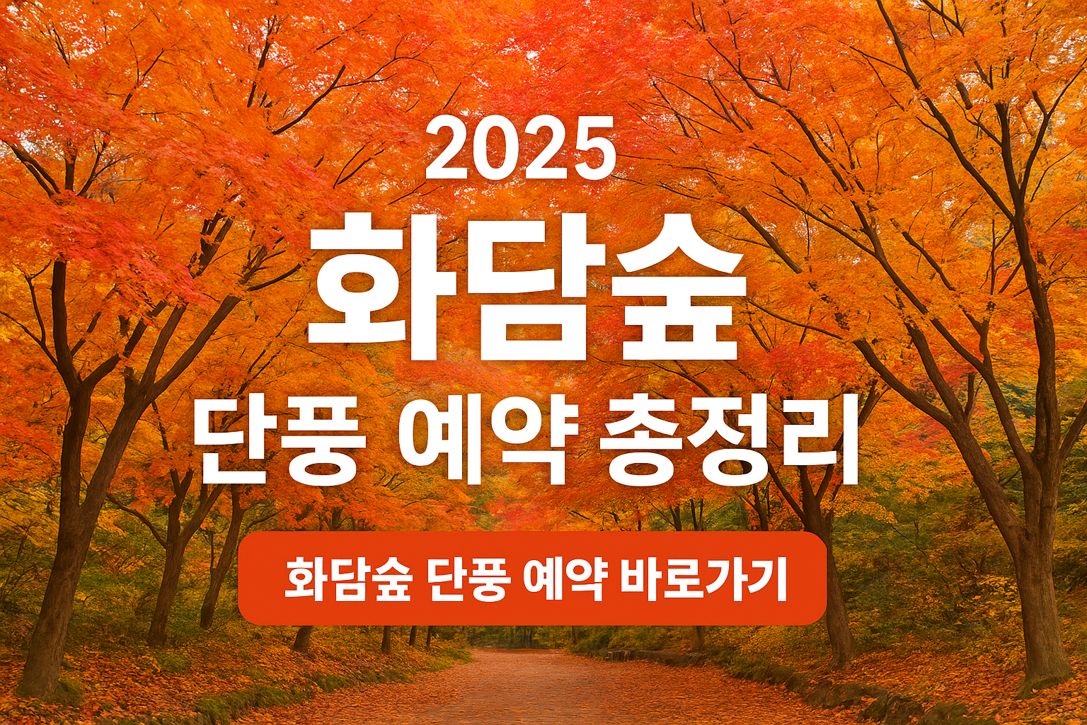 2025 화담숲 단풍 예약 방법과 관람 꿀팁 총정리