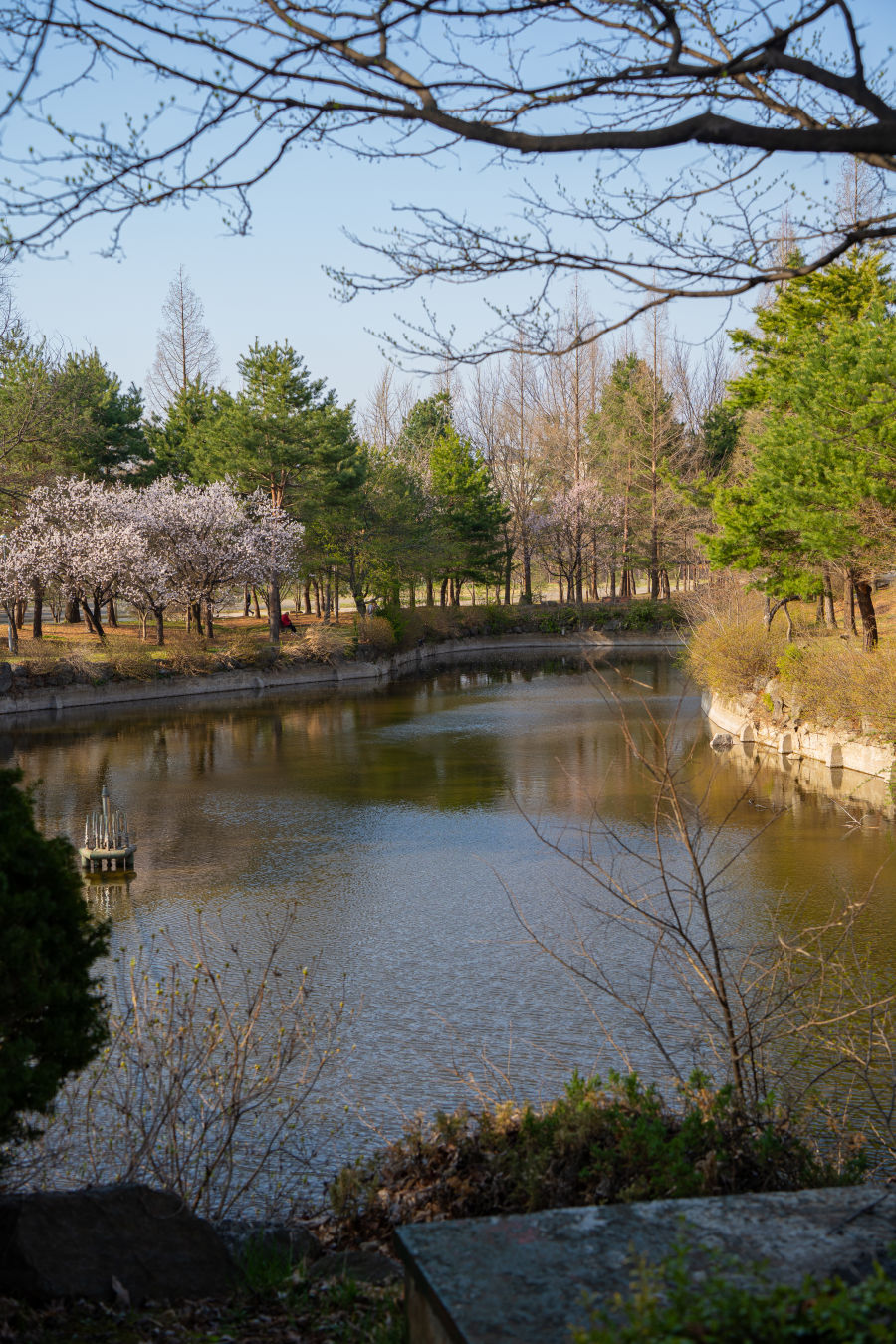 수원대학교 연못