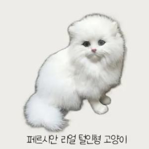 "장모