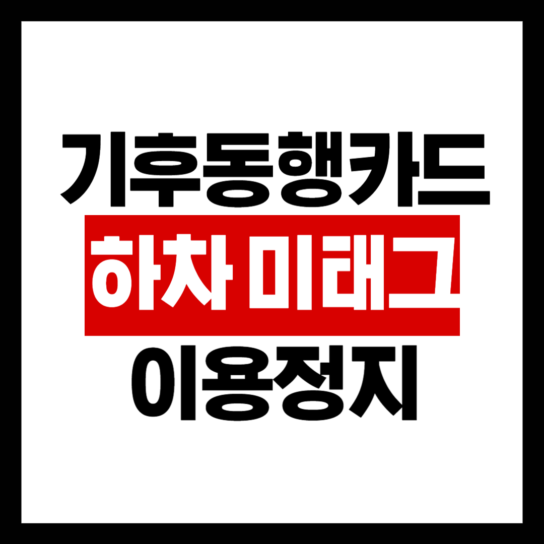 기후동행카드 하차 미태그 시