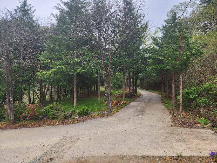 완주-펜션-구이씨엘스테이-산책길