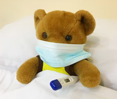 아연 하루 권장량 성인 필요량 섭취방법