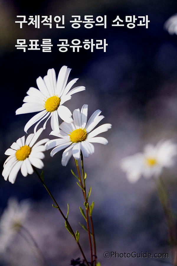 부부십계명-부부10계명