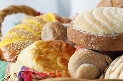 고양이에게 빵을 주면 안 되는 이유