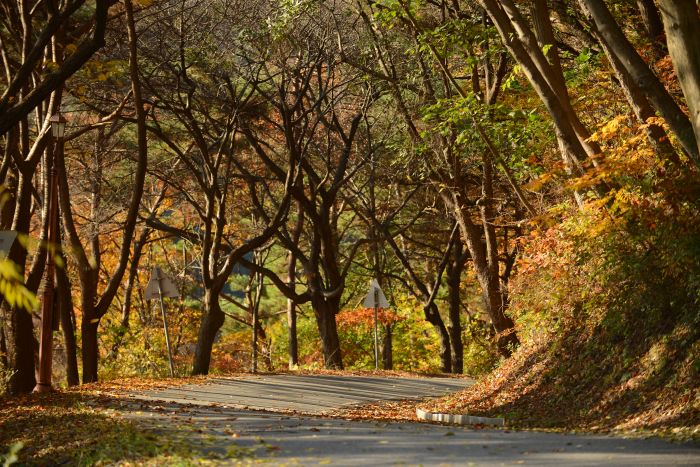 청양 가볼만한곳 베스트10