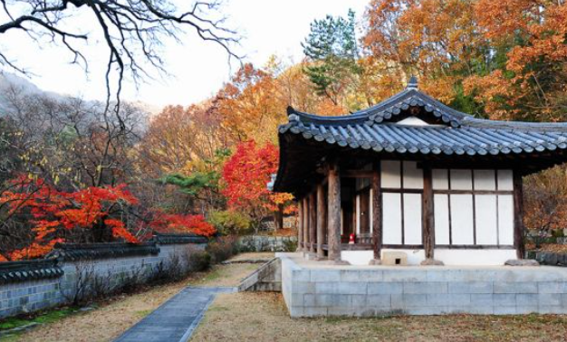 2025 가을 경상도 단풍 명소 산행 추천 ❘ 주왕산&middot;가야산&middot;팔공산 절정 시기